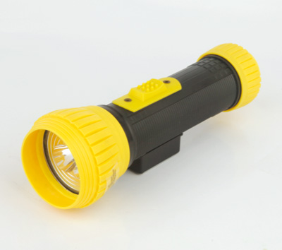 LED torch with magnet