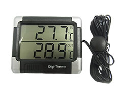 Large screen thermometer