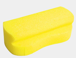 Wash sponge