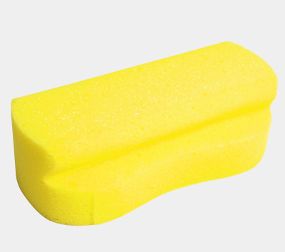 Wash sponge