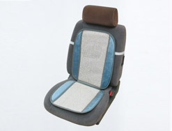 Car cushion