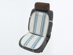 Car cushion