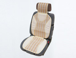 Car cushion