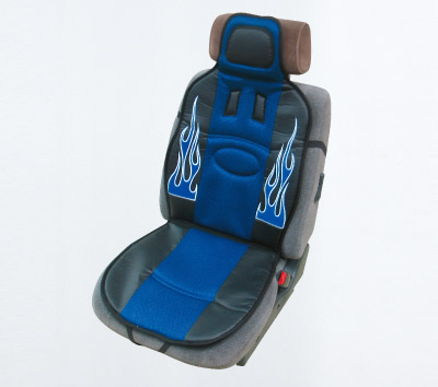 Car cushion